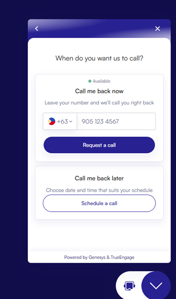 Visitor view offering an immediate or a scheduled callback