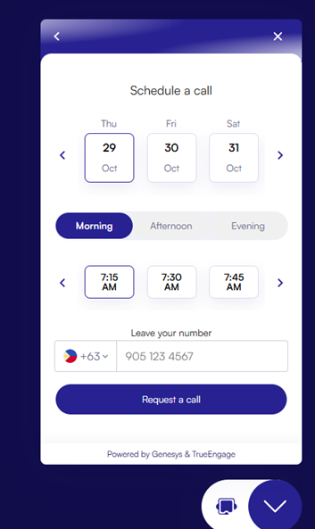 Visitor view for choosing a callback date and time and entering a phone number